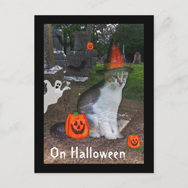 Ghost Cat Postcard (Front)