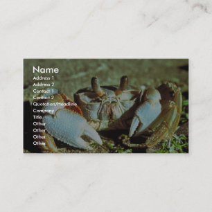 Ghost Crab Business Card