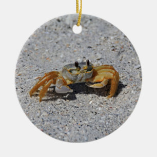 Ghost Crab Ceramic Tree Decoration