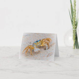 Ghost Crab or Sand Crab Thank You Card