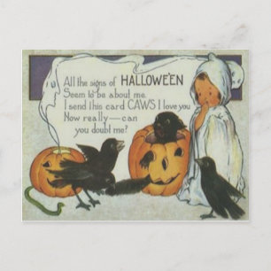 Ghost Crow Jack O Lantern Pumpkin Black Cat Postcard