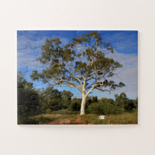 Ghost gum tree, Outback Australia Jigsaw Puzzle