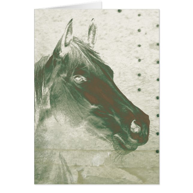 Ghost Horse (Front)