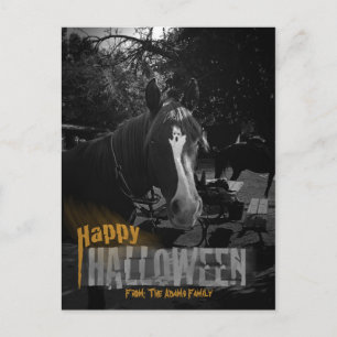 Ghost Horse Halloween Postcard