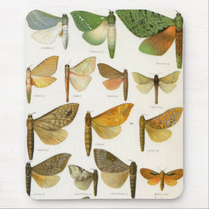 Ghost Moths Mouse Mat