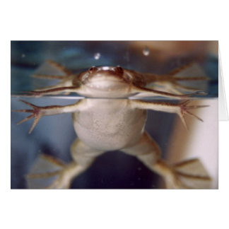 Ghost of Many Legs card