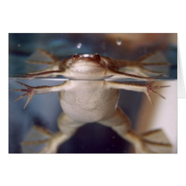 Ghost of Many Legs card (Front Horizontal)