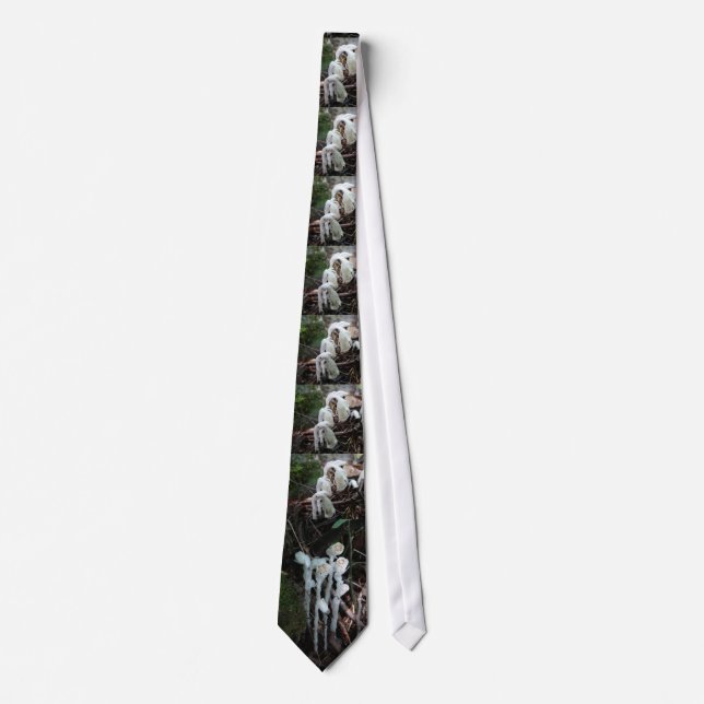 Ghost Plant Tie (Front)