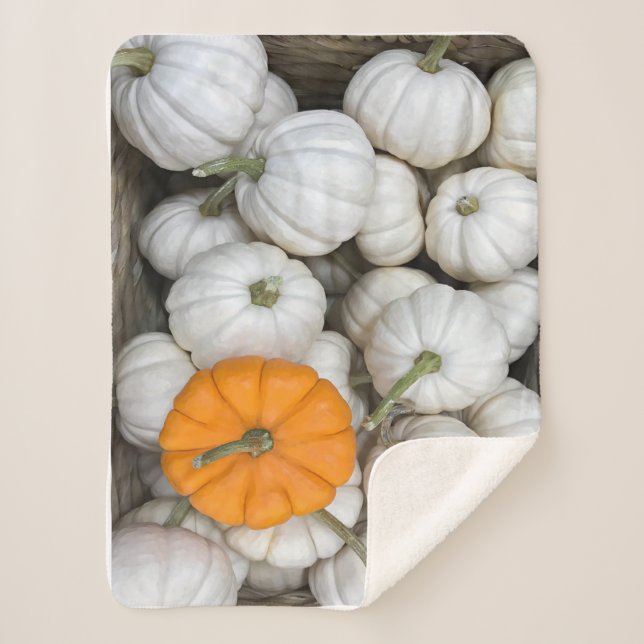 Ghost Pumpkins with a sneaky orange one Sherpa Blanket (Front)
