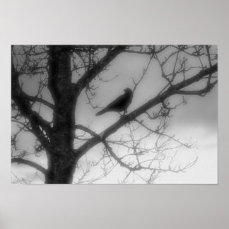 Ghost Raven Poster