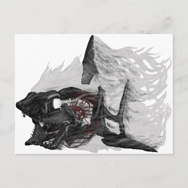 Ghost Shark Postcard (Front)