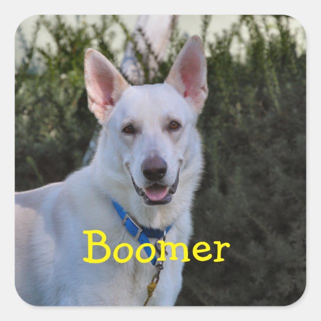 Ghost  square sticker (Front)