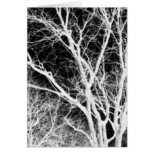 ghost tree