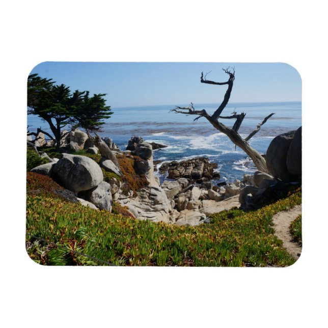 Ghost Tree – Scenic 17 Mile Drive #2 Magnet (Horizontal)