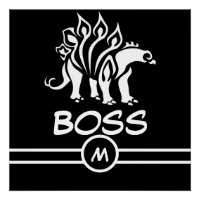 Ghost White Stegosaurus Spiked Dinosaur