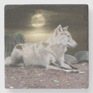 Ghost Wolf in the Moonlight Stone Coaster