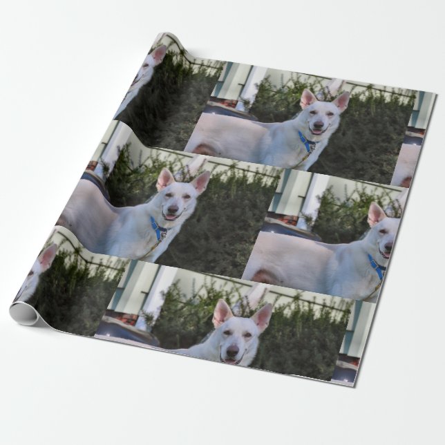 Ghost Wrapping Paper (Unrolled)