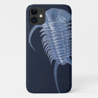 Ghostly Blue Paraceraurus Trilobite