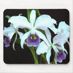 Ghostly Cattleyas Mouse Mat