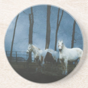 Ghostly Horses at Midnight Coaster