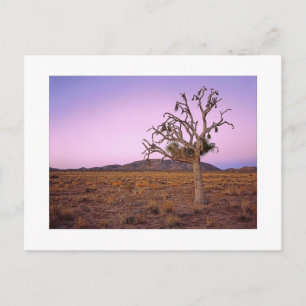 " Ghostly Shape Shifter " Postcard