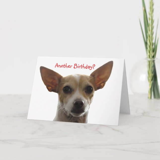 Gi, Another Birthday? Card (Front)