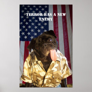 GI Yogi Fighting the war on terror Poster