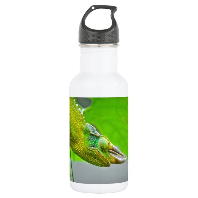 Giant 3 Horned Chameleon 532 Ml Water Bottle (Front)