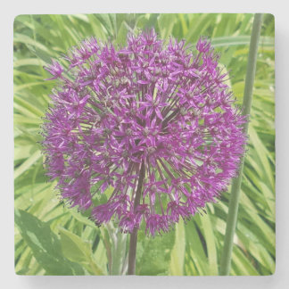 Giant Allium Flower Coaster