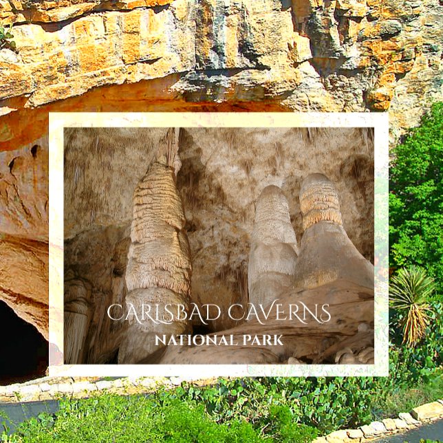 Giant and Twin Domes, Carlsbad Caverns NP Postcard (Creator Uploaded)