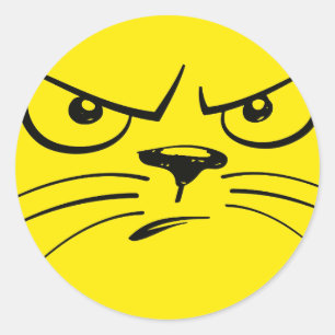 Giant angry cat face classic round sticker
