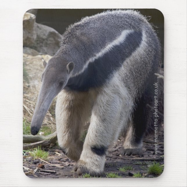 Giant Anteater Mousemat (Front)