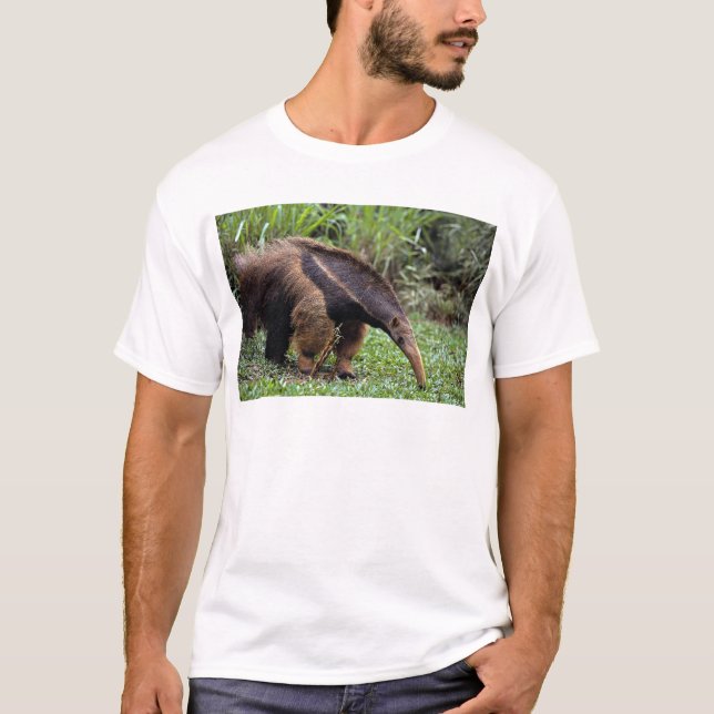 Giant anteater (Myrmecophaga tridactyla) T-Shirt (Front)