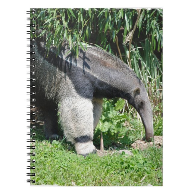 Giant Anteater Notebook (Front)