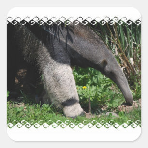 Giant Anteater Photo Sticker
