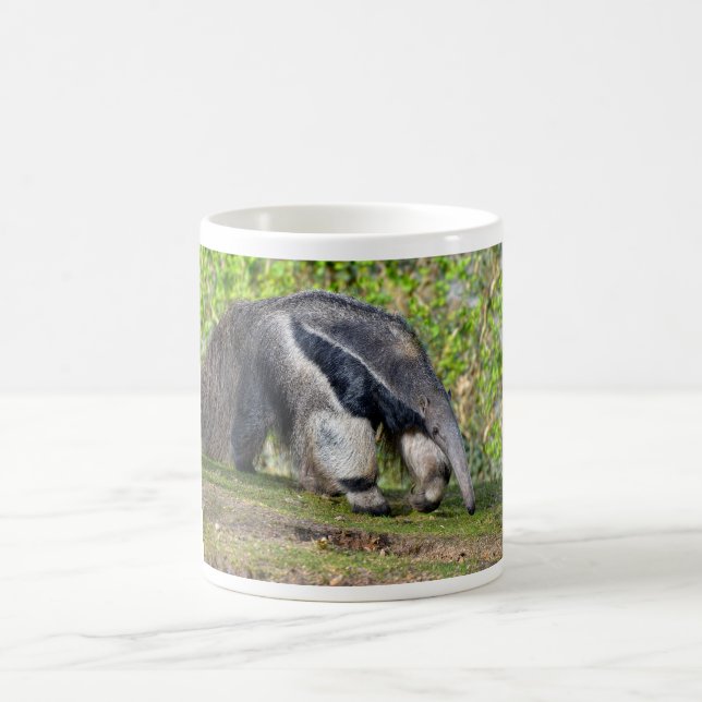 Giant Anteater walking on grass  Coffee Mug (Center)