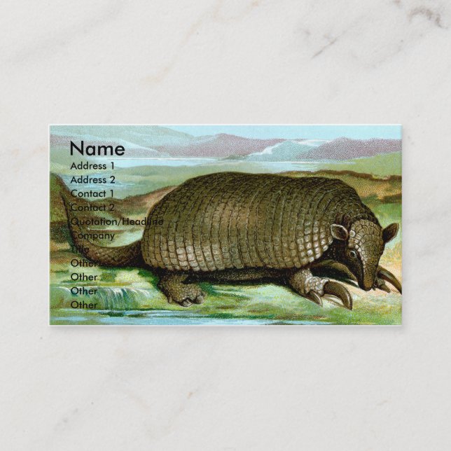 Giant Armadillo Business Card (Front)