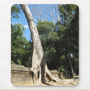 Giant Banyan Tree ... Ta Prohm Temple, Cambodia Mouse Mat