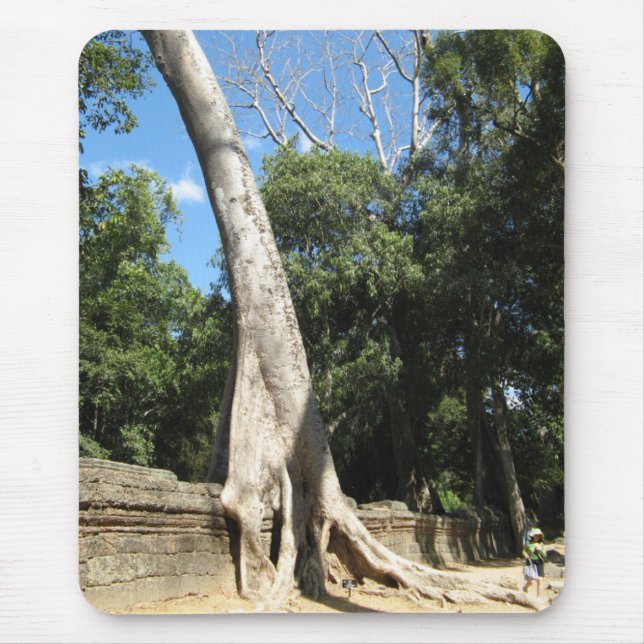 Giant Banyan Tree ... Ta Prohm Temple, Cambodia Mouse Mat (Front)
