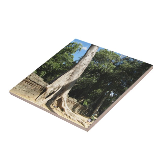 Giant Banyan Tree ... Ta Prohm Temple, Cambodia Tile (Side)