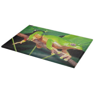 Giant Bicolor Monkey Treefrog, Phyllomedusa Cutting Board