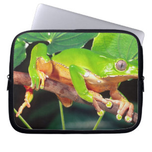 Giant Bicolor Monkey Treefrog, Phyllomedusa Laptop Sleeve