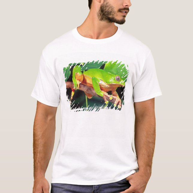 Giant Bicolor Monkey Treefrog, Phyllomedusa T-Shirt (Front)