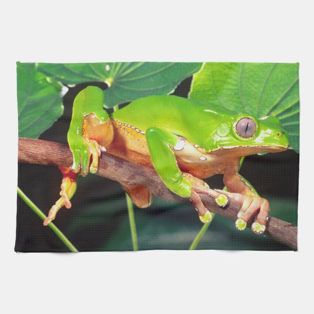 Giant Bicolor Monkey Treefrog, Phyllomedusa Tea Towel (Horizontal)