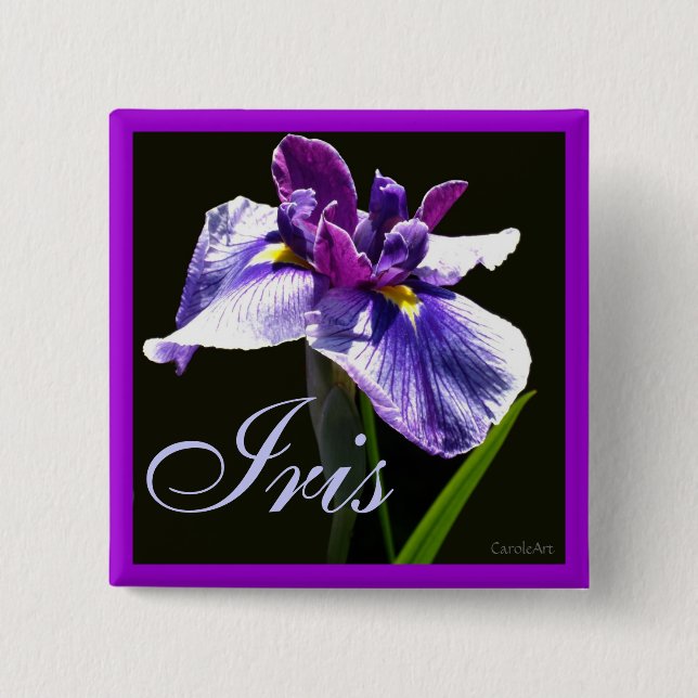 Giant Blue Purple  Iris 15 Cm Square Badge (Front)