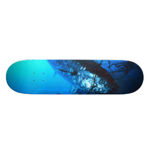 Giant Bluefin Tuna Caught in a Net Skateboard