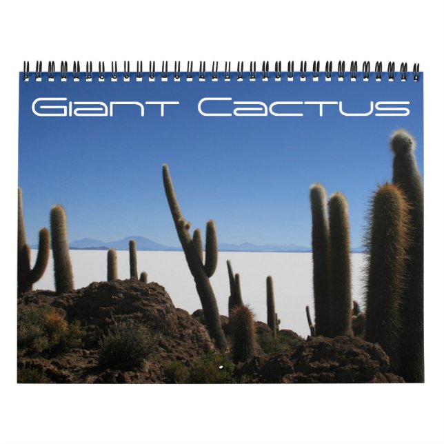 giant cactus 2026 calendar (Cover)