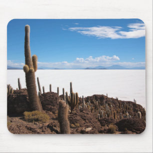 Giant cactus at the Salar de Uyuni mousepad