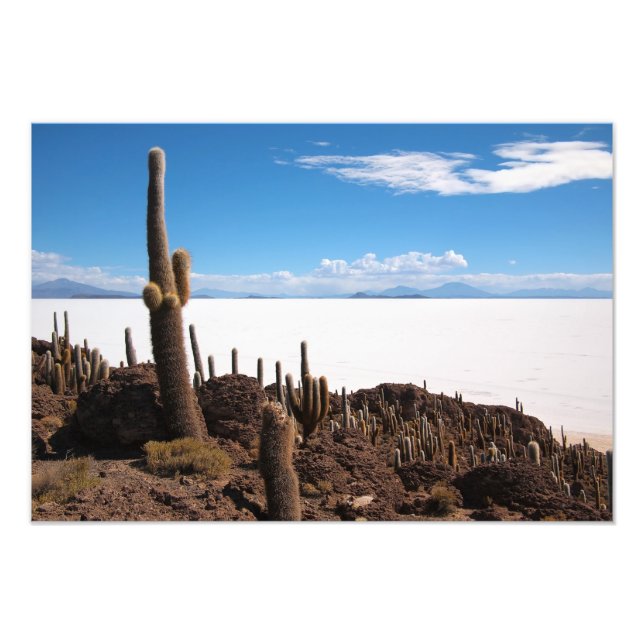 Giant cactus at the Salar de Uyuni photo print (Front)