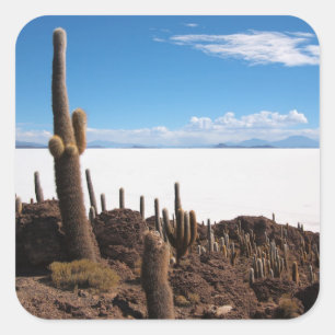 Giant cactus at the Salar de Uyuni photo sticker